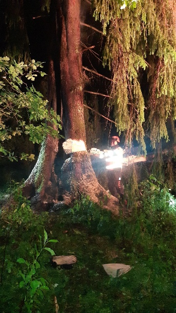 20230608_231648_resized_1 groß.jpg